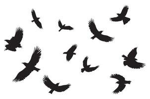 flying birds silhouette set flying birds icon set Set of flying birds silhouettes vector