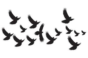 flying birds silhouette set flying birds icon set Set of flying birds silhouettes vector