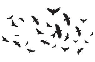 Flying birds black silhouettes set vector