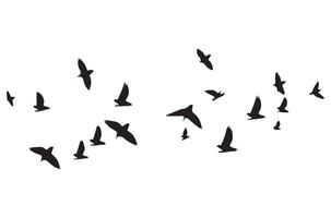 flying birds silhouette set flying birds icon set Set of flying birds silhouettes vector