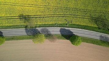 superiore Visualizza di auto guida su il strada attraverso giallo colza i campi nel primavera. video