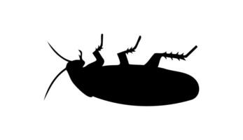 Black silhouette of dead cockroach lying on its back on white backdrop. illustration. Good for pest control service ads, hygiene educational content, product labels for insecticides. vector