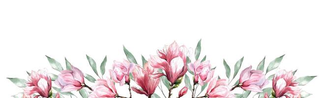 fresh magnolia flower botanical watercolor illustration floral design petals blooming spring tropical pink beautiful plant border background template vector