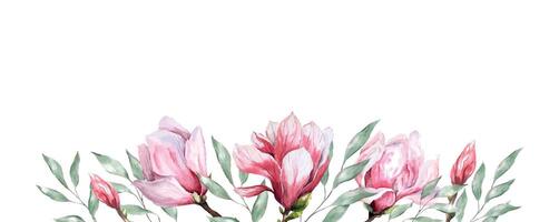 Fresco magnolia flor botánico acuarela ilustración floral diseño pétalos floreciente primavera tropical rosado hermosa planta frontera antecedentes modelo vector