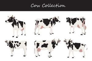 Cows collection. Cows in different poses vector