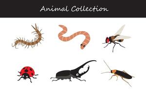 animales recopilación. plano estilo ilustración. vector