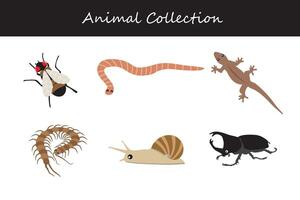 animales recopilación. plano estilo ilustración. vector
