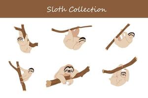 Sloth cartoon illustration. Cute sloth in different poses and attitudes. vector