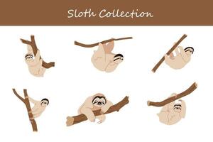 Sloth cartoon illustration. Cute sloth in different poses and attitudes. vector