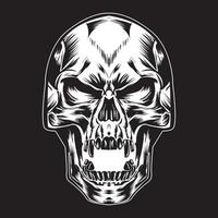 sketches of skulls vector