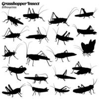 Collection of grasshopper silhouette illustrations vector
