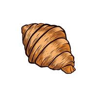 Hand drawn croissants in colored engraving style vector