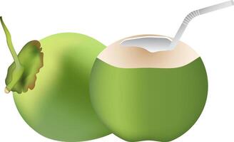 Coconut water with straw and fresh young coconut fruit isolated on a white background. vector