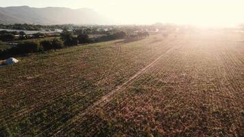 aereo Visualizza di agricoltura campo natura 4k sfondo video