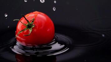 tomaat vallend in zwart water 4k achtergrond video