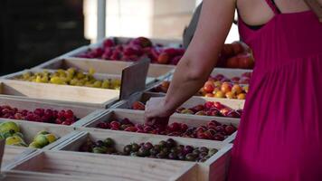 mujer elegir Fruta a un mercado 4k antecedentes video