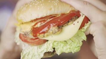 vrouw aan het eten een Hamburger 4k achtergrond video