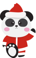 Navidad panda . png