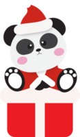 Navidad panda . png