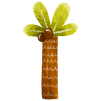 oerwoud palm. schattig kinderachtig hand- getrokken illustratie Aan geïsoleerd achtergrond png