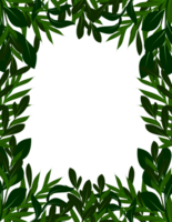 Leaves Frame Border png