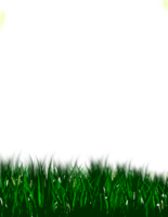 Spring grass background png