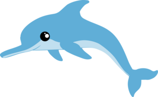 cute whale cartoon, sea animal png