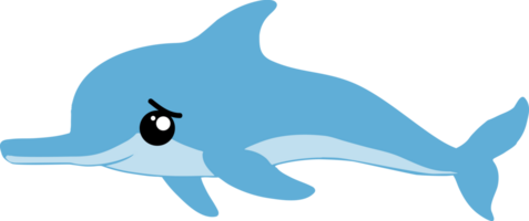 cute whale cartoon, sea animal png