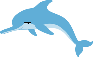 mignonne baleine dessin animé, mer animal png