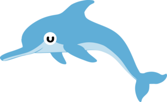 cute whale cartoon, sea animal png