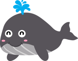 carino balena cartone animato, mare animale png