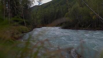 Berg Fluss Wald Unterseite Aussicht video