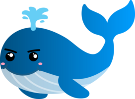 mignonne baleine dessin animé, mer animal png