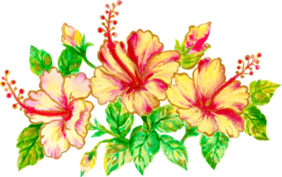 aquarelle fleur botanique verdure jardin isolé png