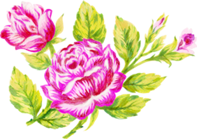 Watercolor flower botanical greenery garden isolated png