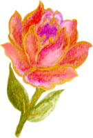 Rose éléments isolé luxe aquarelle png