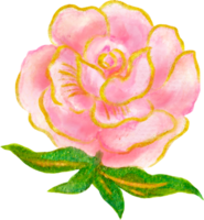 Rose Elemente isoliert Luxus Aquarell png