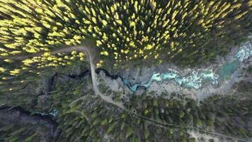 aereo Visualizza di mistaya canyon, roccioso montagne, Canada. video