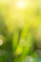 Green blur background with sunlight and bokeh light. photo