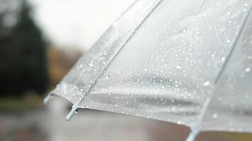 Close-up of a transparent umbrella covered by raindrops during walking in an autumn city park in the rain. Concept of comfort leisure during a bad weather video