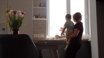 mamá con bebé en su brazos, lo hace el casa quehaceres en el cocina video