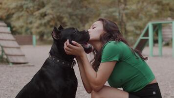 Jeune asiatique femme accroupi dans de face de une gros noir chien et tapoter il à le Extérieur chien formation sol. concept de correct animal de compagnie se soucier et manipulation video