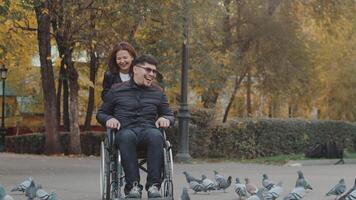 sorridente contento asiatico donna rotolamento attraverso il gregge di piccioni un' Disabilitato asiatico uomo nel un' sedia a rotelle durante un all'aperto camminare insieme nel un autunno città parco video