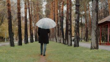 joven hombre en un Saco caminando en el camino en un otoño ciudad parque Entre el arboles debajo un transparente paraguas durante el lluvia, espalda vista. concepto de comodidad ocio en malo clima video