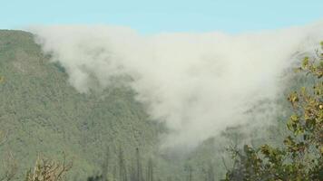 la palma montagnes brouillard laps de temps video