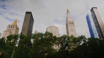 Madison plein tuin nieuw york timelapse video