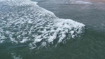 sereno costeiro cena capturando a rítmico ondas lavando para a costa, ideal para projetos relacionado para marinho conservação ou terra dia temas video