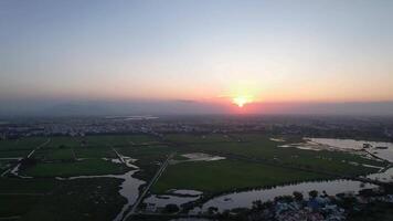 antenne visie Bij dageraad van een rustig landschap met groen rijst- velden en waterwegen, reflecterend de belang van landbouw en ecosystemen, geschikt voor aarde dag thema's video