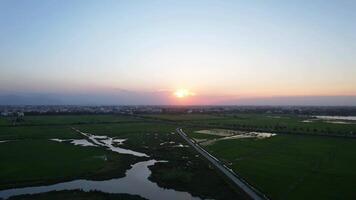 aérien vue de une serein le coucher du soleil plus de expansif vert riz des champs, mise en évidence les terres Naturel beauté, adapté pour Terre journée thèmes et environnement préservation contenu video