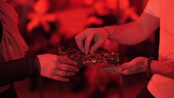 man takes cocoa beans from tray, tasting cocoa at red light event. video